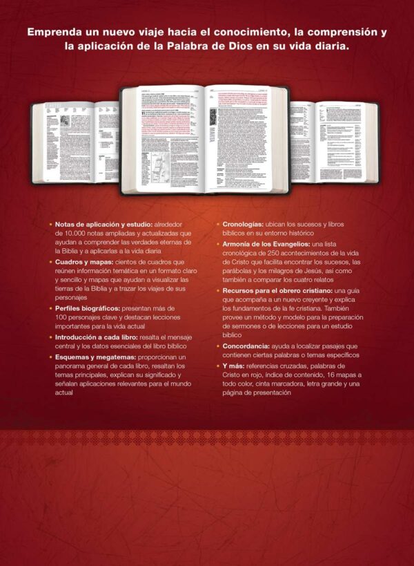 Biblia de Estudio del Diario Vivir RVR60, Letra Grande - Image 2