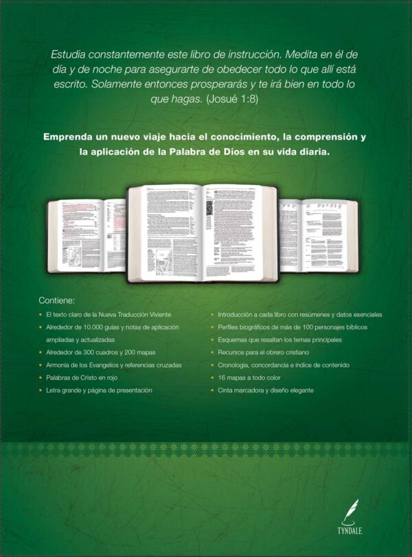 Biblia de Estudio del Diario Vivir NTV, Letra Grande - Vino Rosa - Image 2
