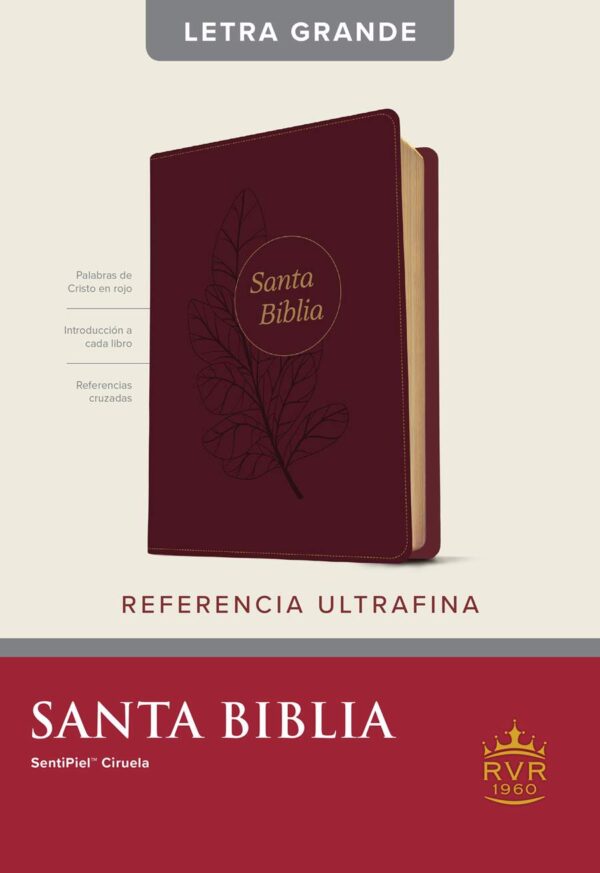 Santa Biblia RVR60, Edición de Referencia Ultrafina, Letra Grande - Image 3