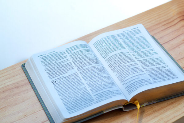 Santa Biblia NTV Letra Grande, Edicion Compacta, Sentipiel duotono, gris y amarillo - Image 3