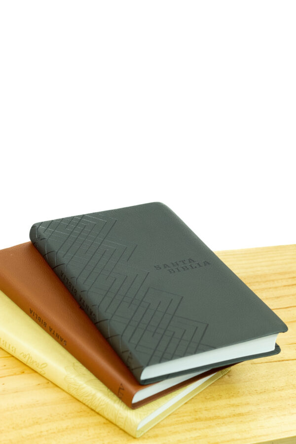 Santa Biblia NTV, Edición Ágape