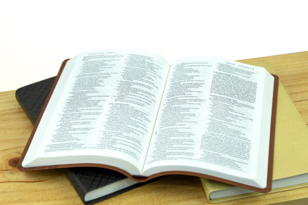 Santa Biblia NTV, Edición Ágape - Image 2